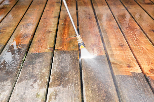 Trusted Beacon Hill, WA Pressure Washing Services Experts